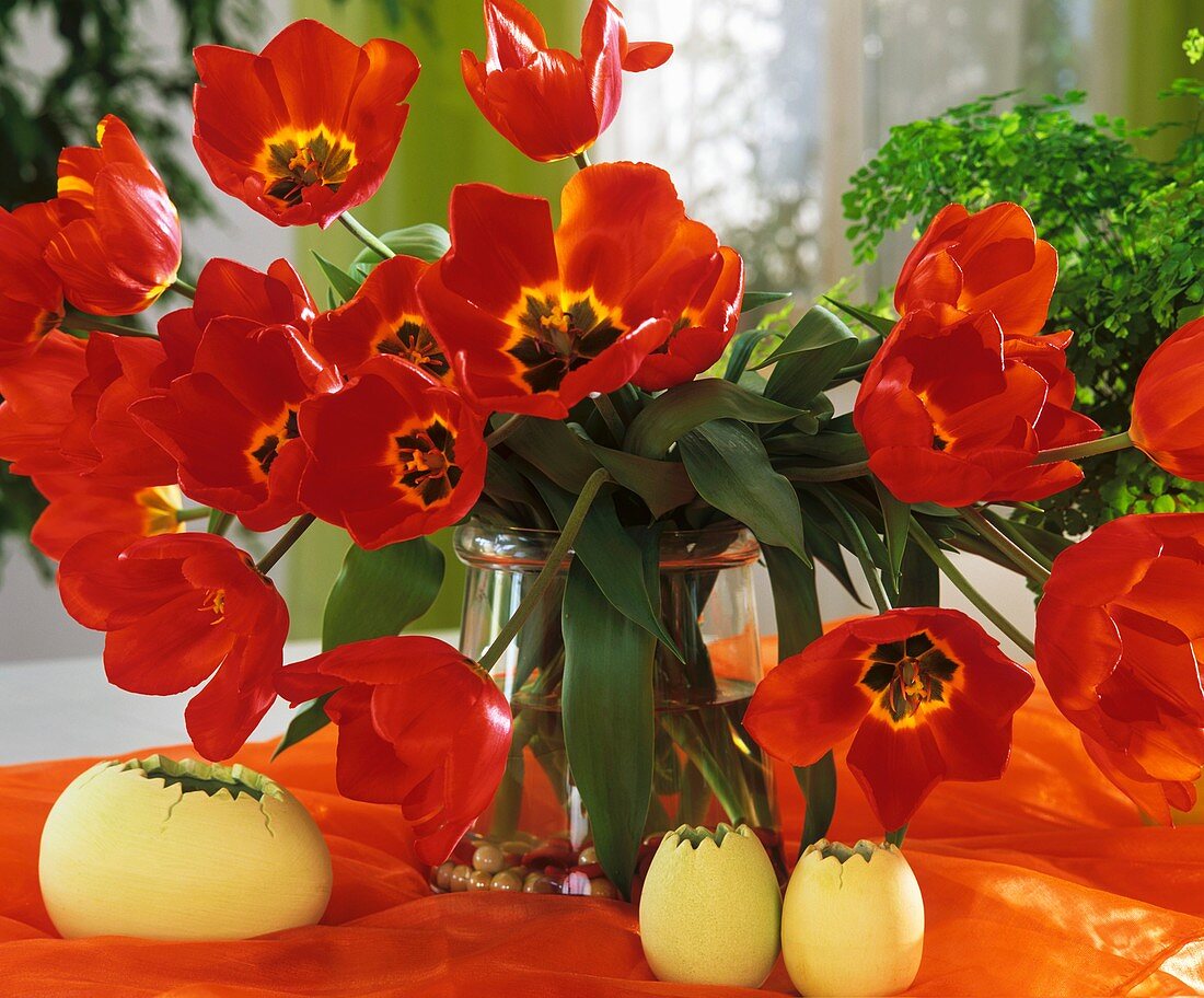 Tulpenstrauss 'Red Paradise'