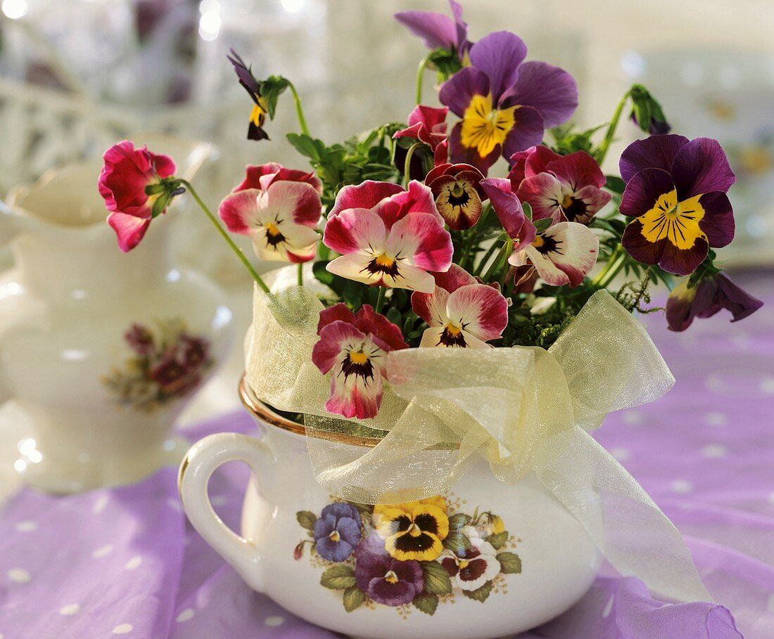 Horned violets and pansies in soup cup