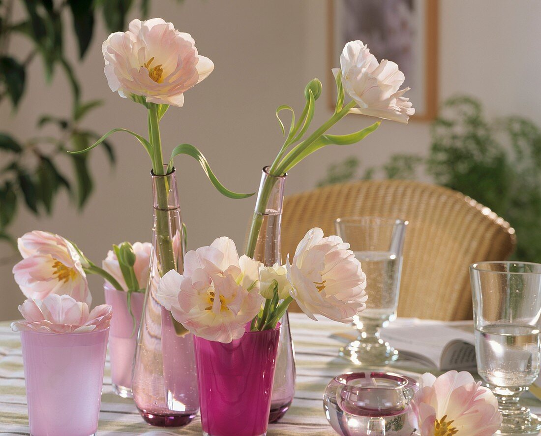 'Peach Blossom' tulips as table decoration