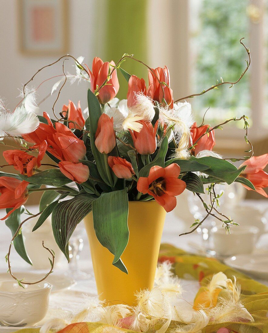 Vase of tulips with feathers