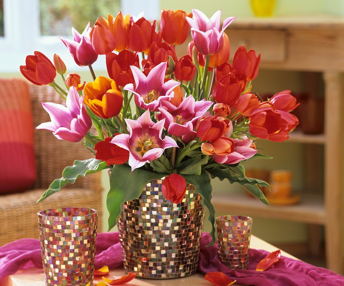 Vase of mixed tulips