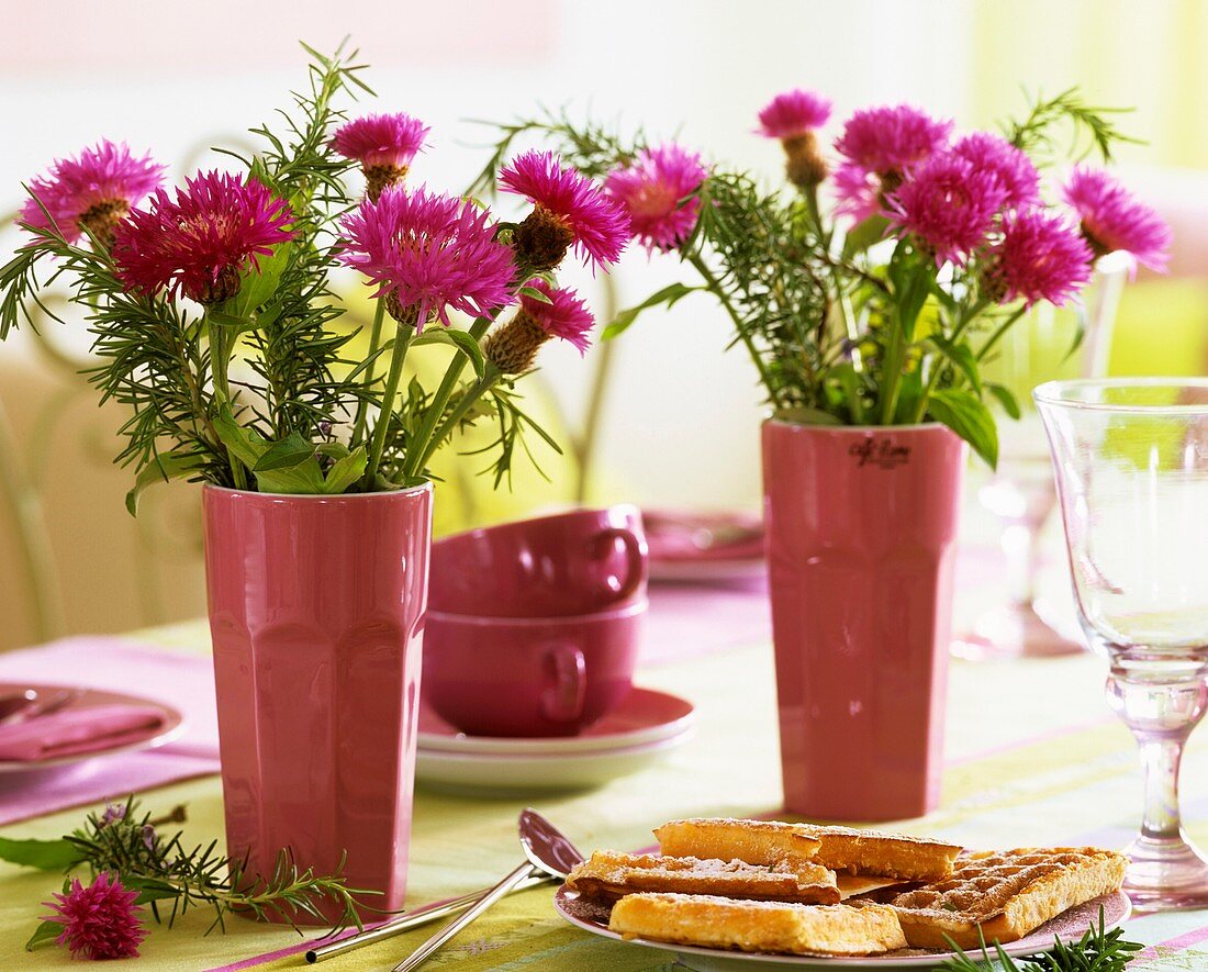 Flockenblumen mit Rosmarin in Vasen, Waffeln und Tassen