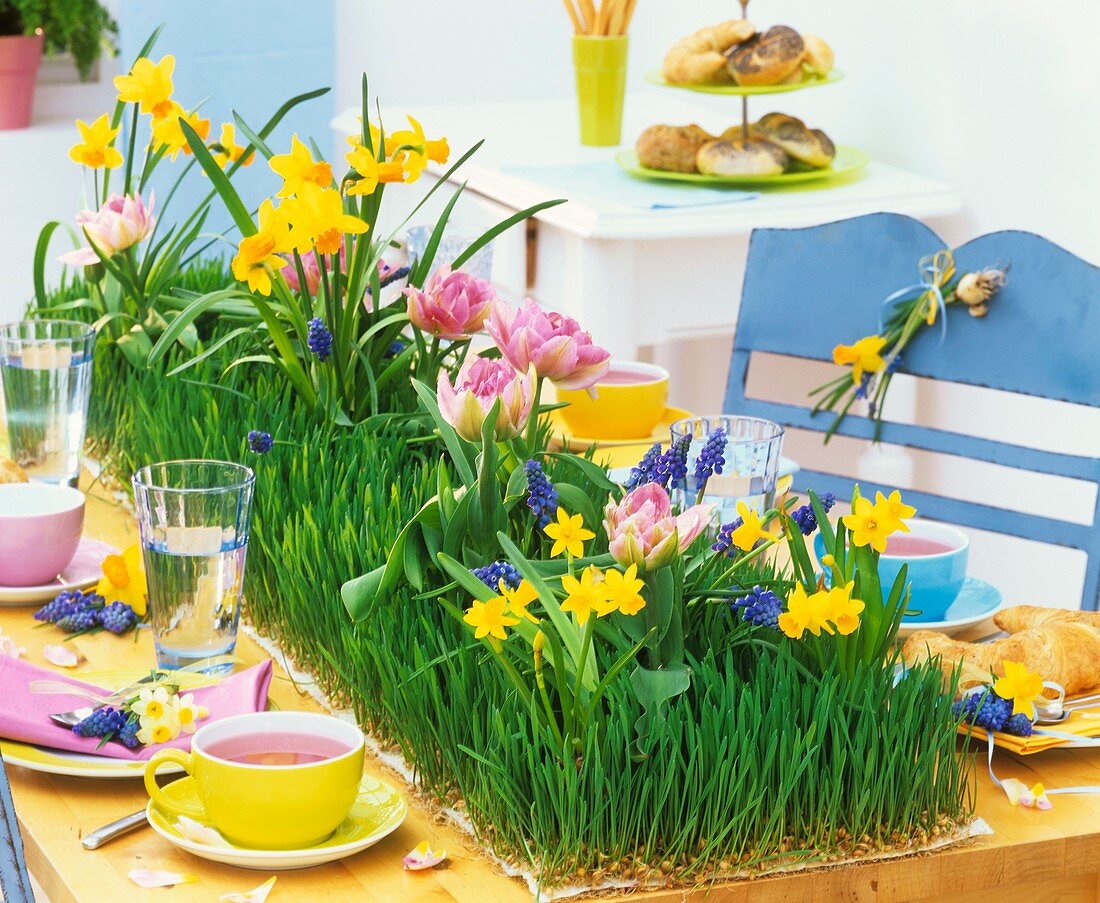 Frühlingstisch mit Weizengras, Narzissen und Tulpen
