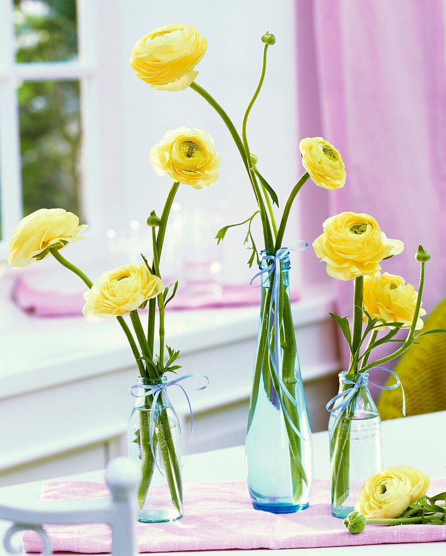 Ranunculus in glass bottles