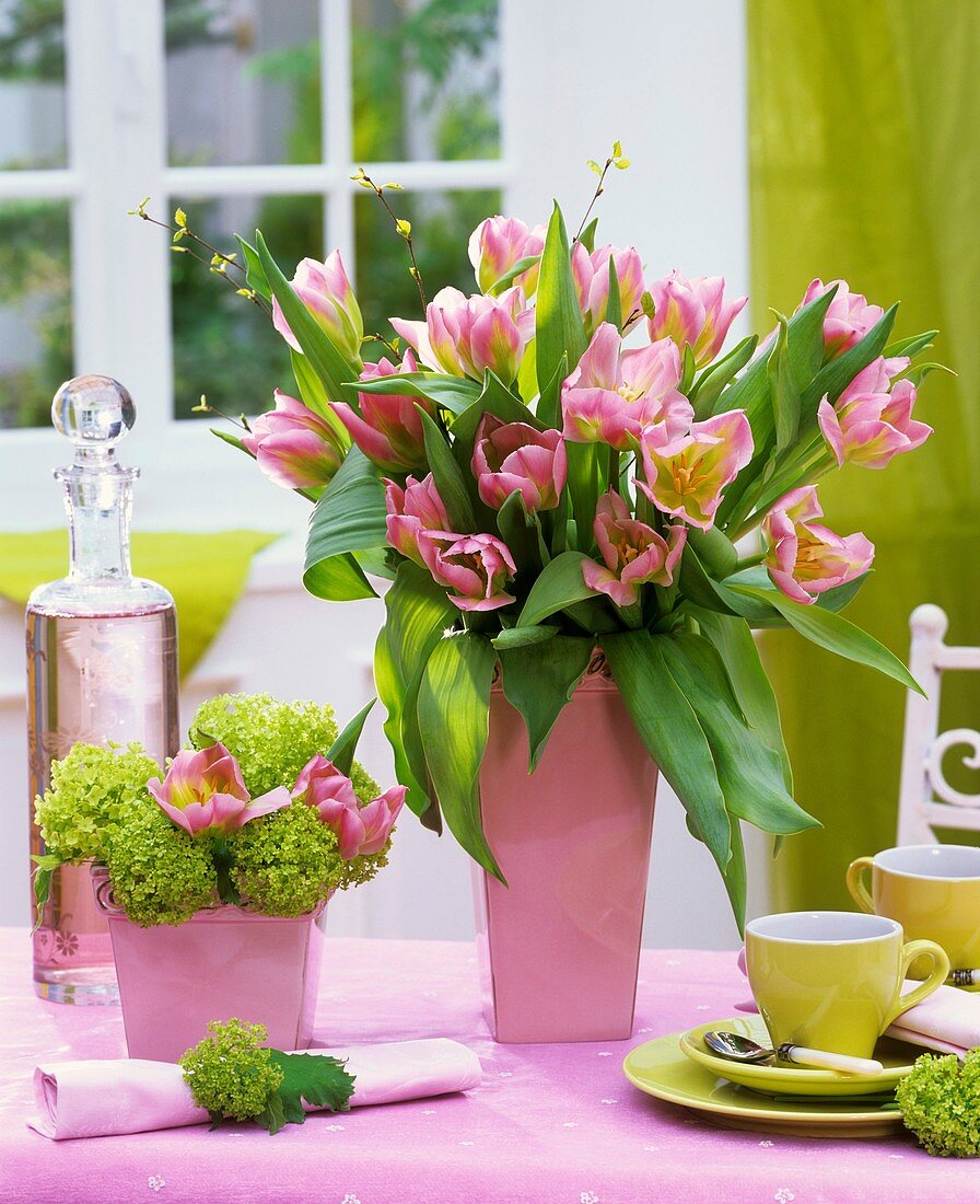 Tulips and Viburnum on table with espresso cups