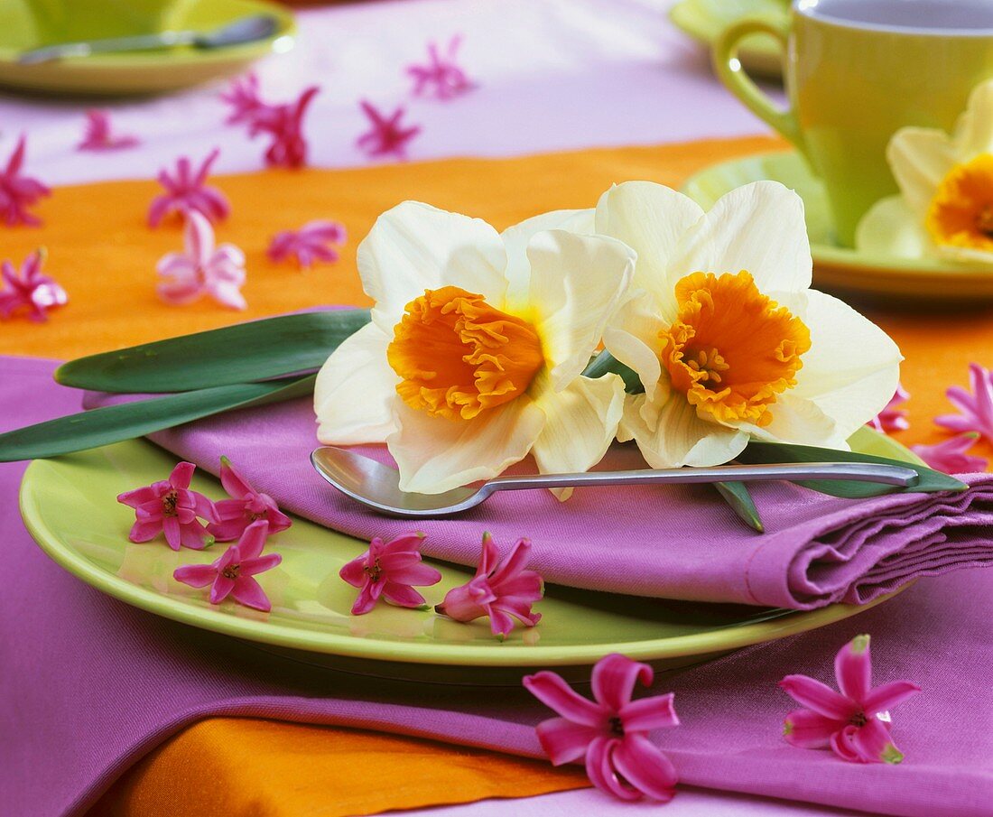 Place-setting decorated with Narcissi and hyacinth flowers