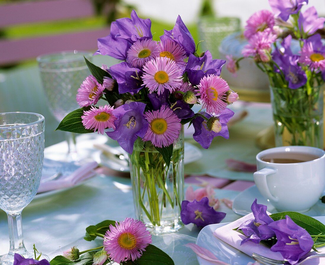 Campanulas and Michaelmas daisies on laid table