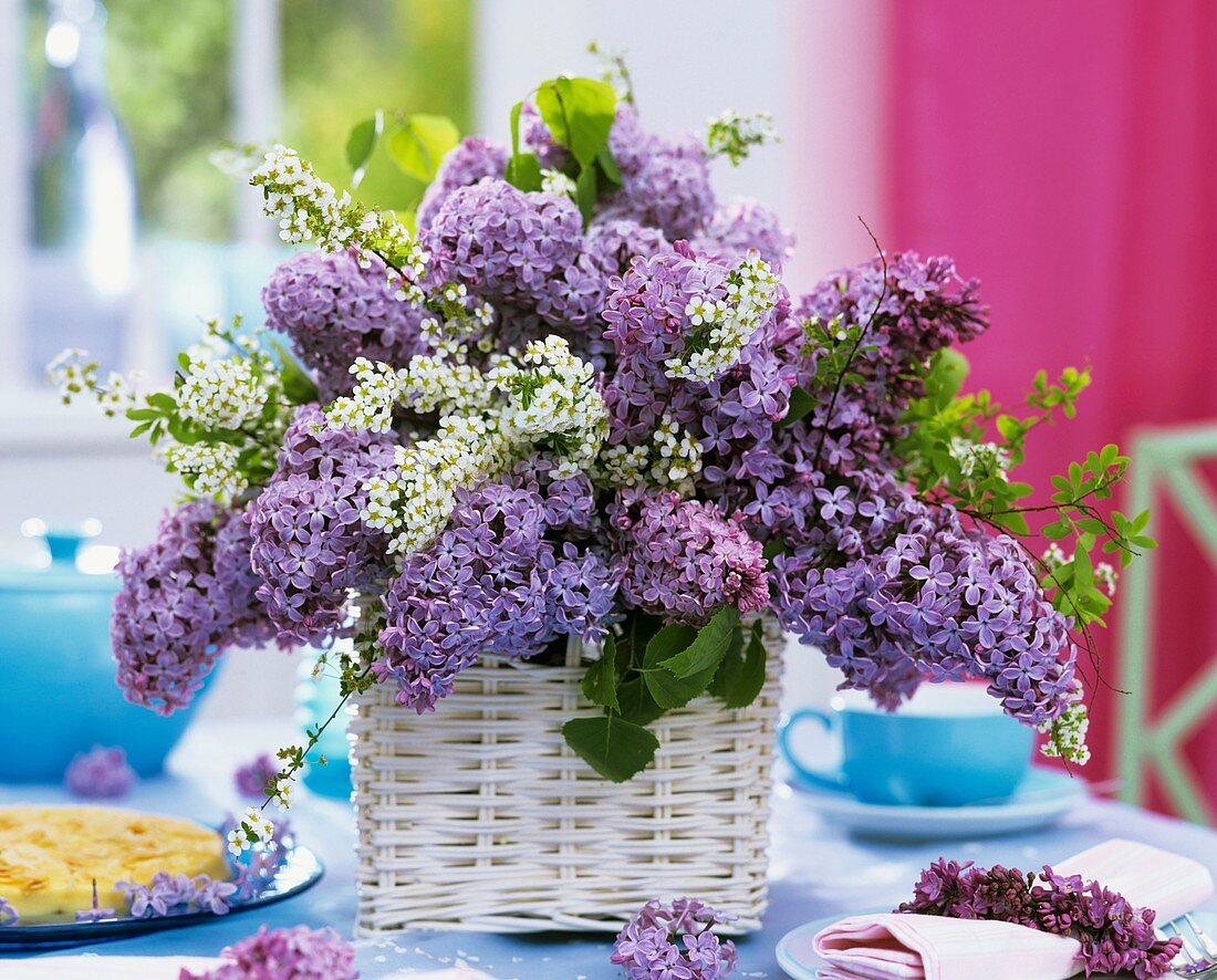 Arrangement of lilac and Spiraea in white basket
