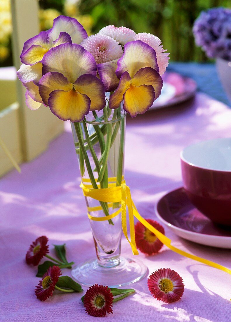 Pansies in glass vase, daisies