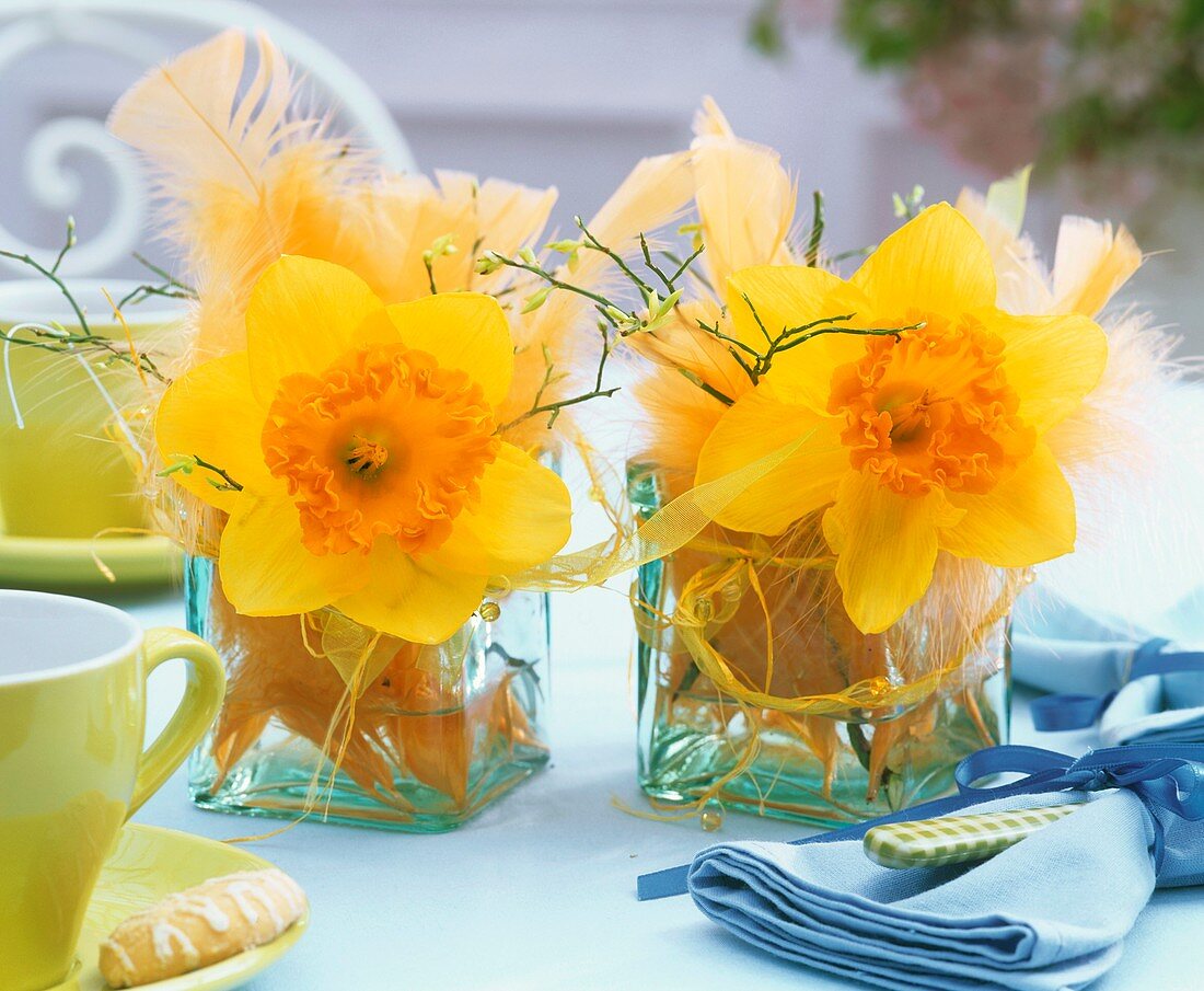 Narcissi and feathers in glass vases on table laid for coffee