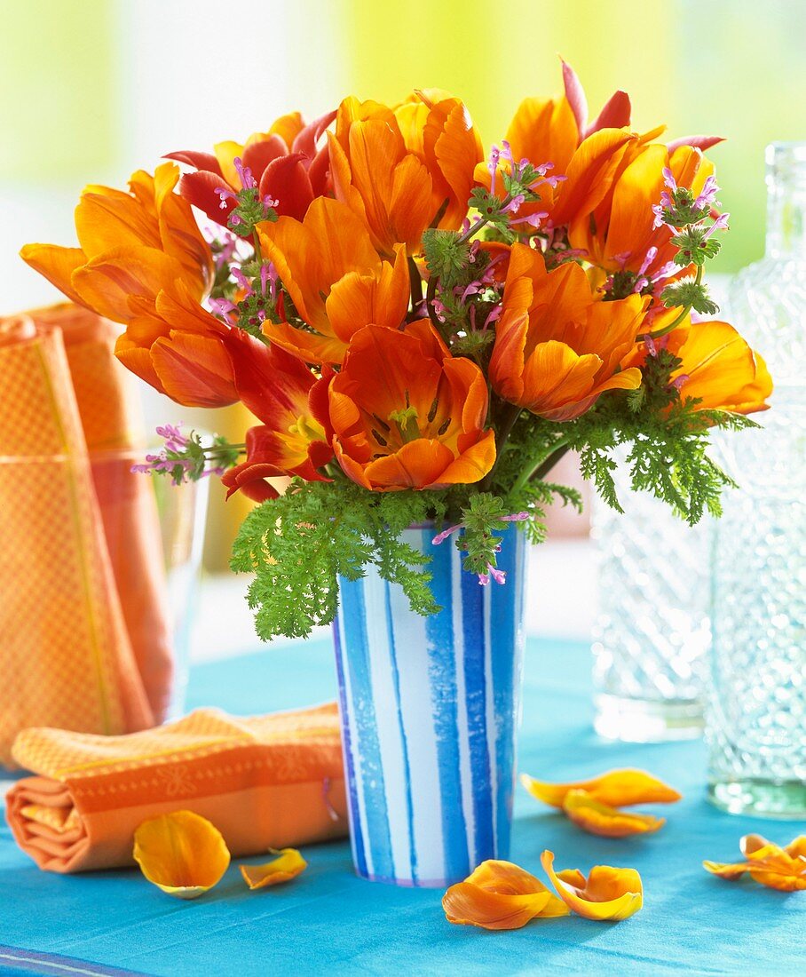 Orange tulips and dead-nettle in blue striped vase