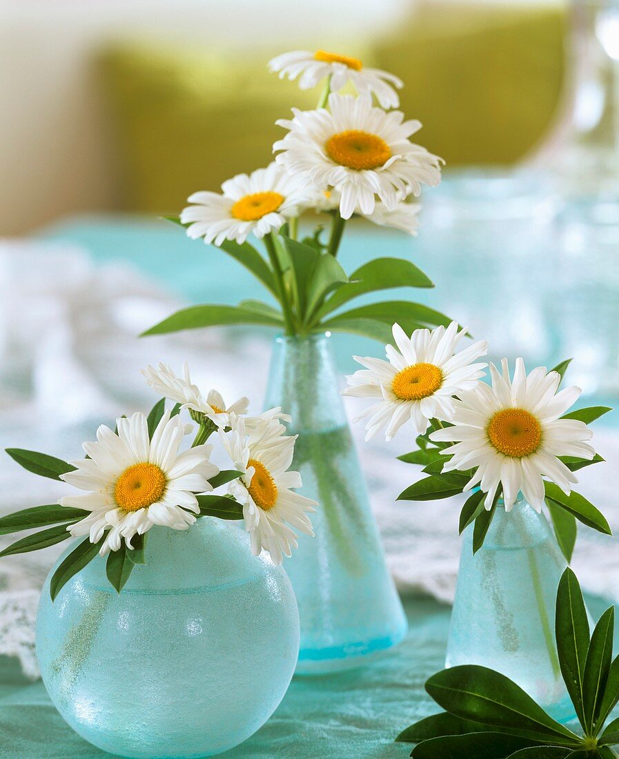 Margeriten in drei Vasen