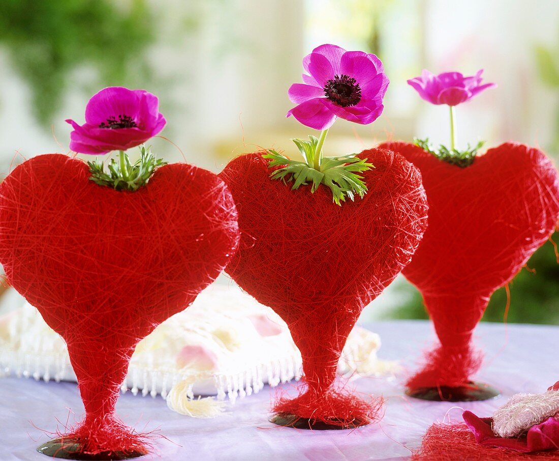 Red sisal hearts, each with an anemone, in a row