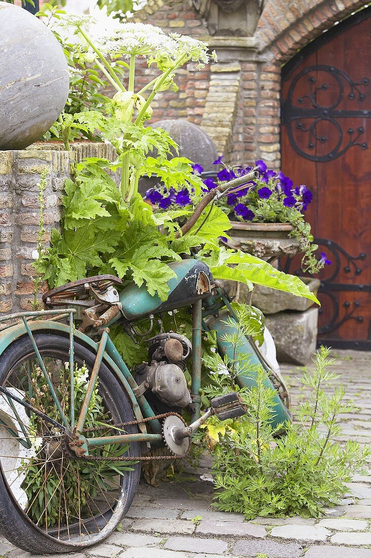 Rusty motorbike by brick wall in garden