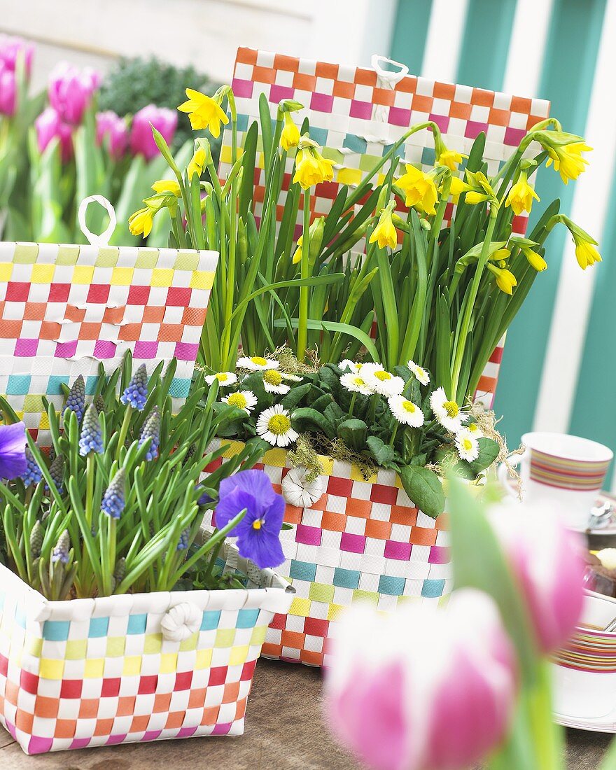 Spring flowers in coloured baskets
