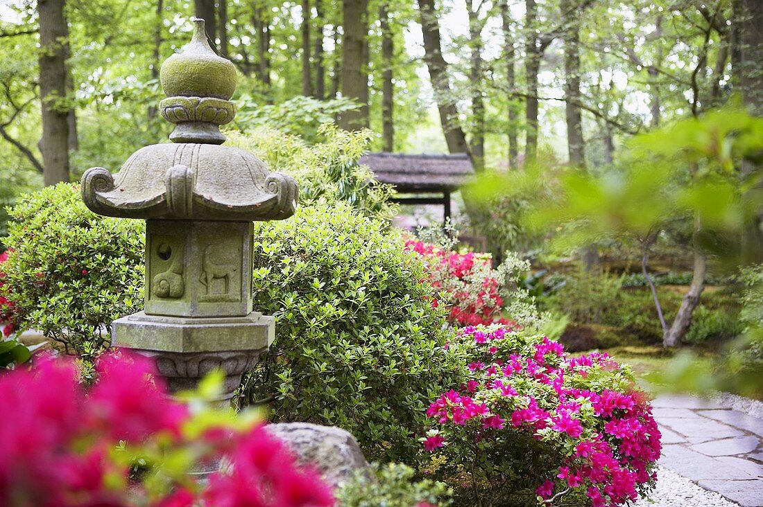 Japanese garden with stone lantern