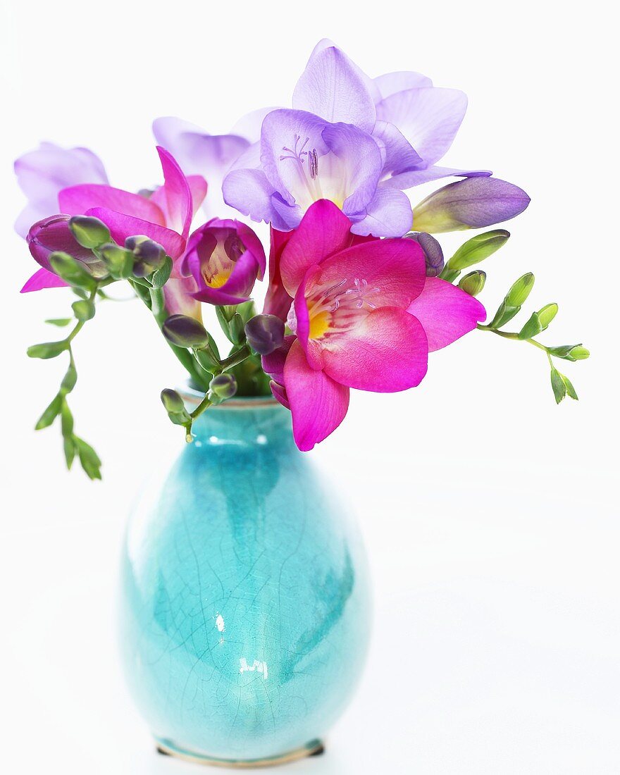 Freesias in ceramic vase