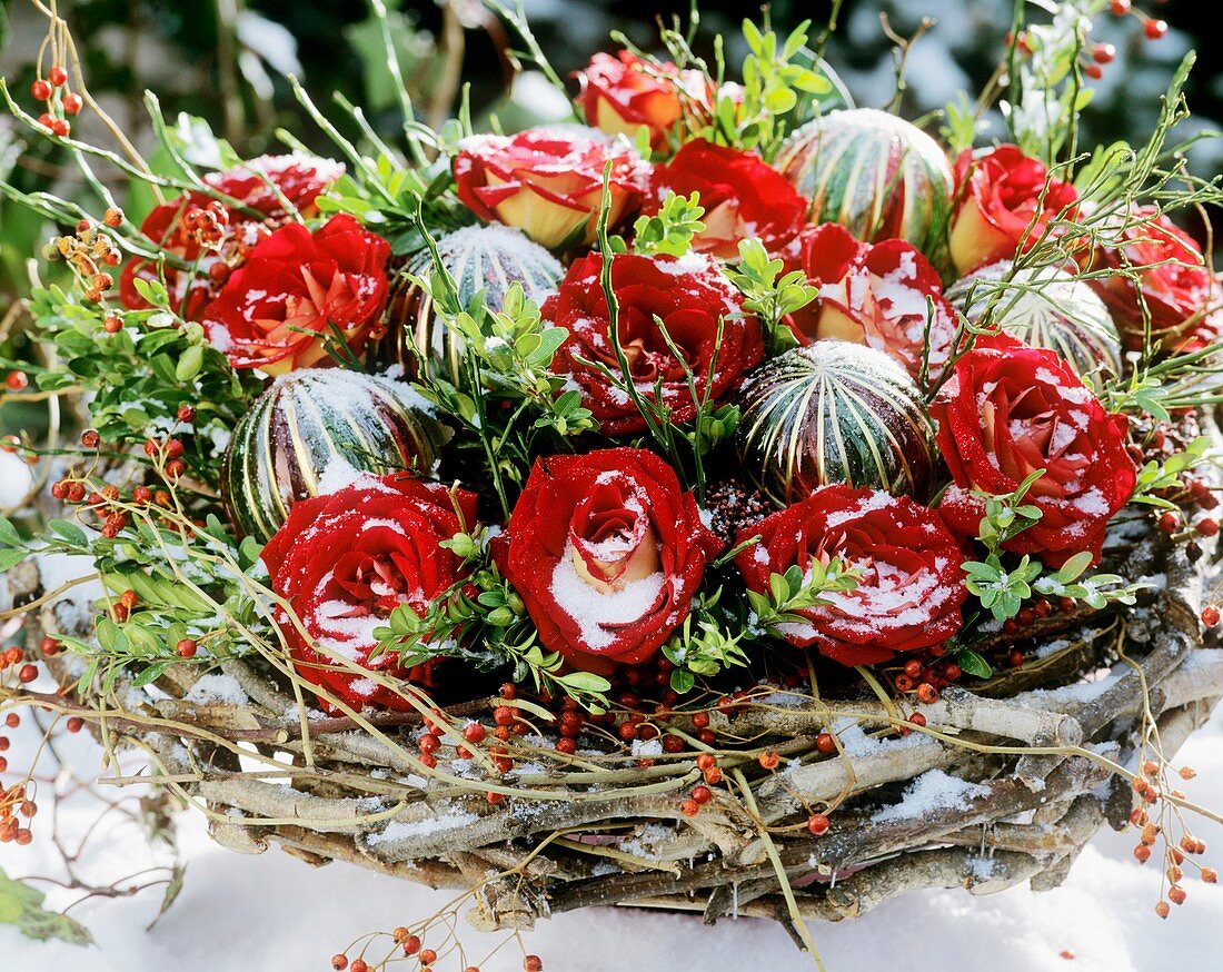 Weihnachtsgesteck mit roten Rosen, Buchszweigen und Ginster
