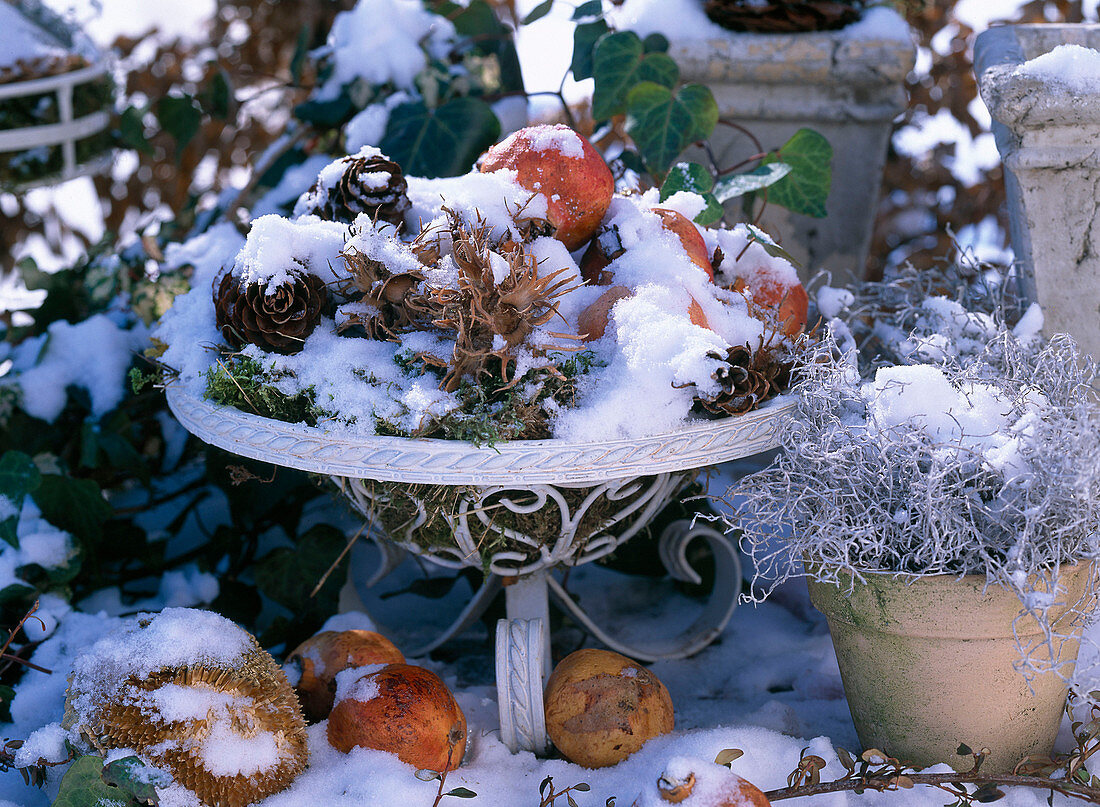 Winterlich dekorierter Drahtkorb im Schnee