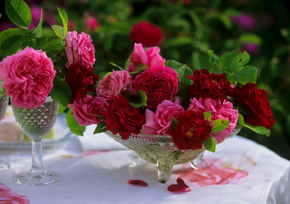 Historische Rosen in Glasschale und Weingläsern