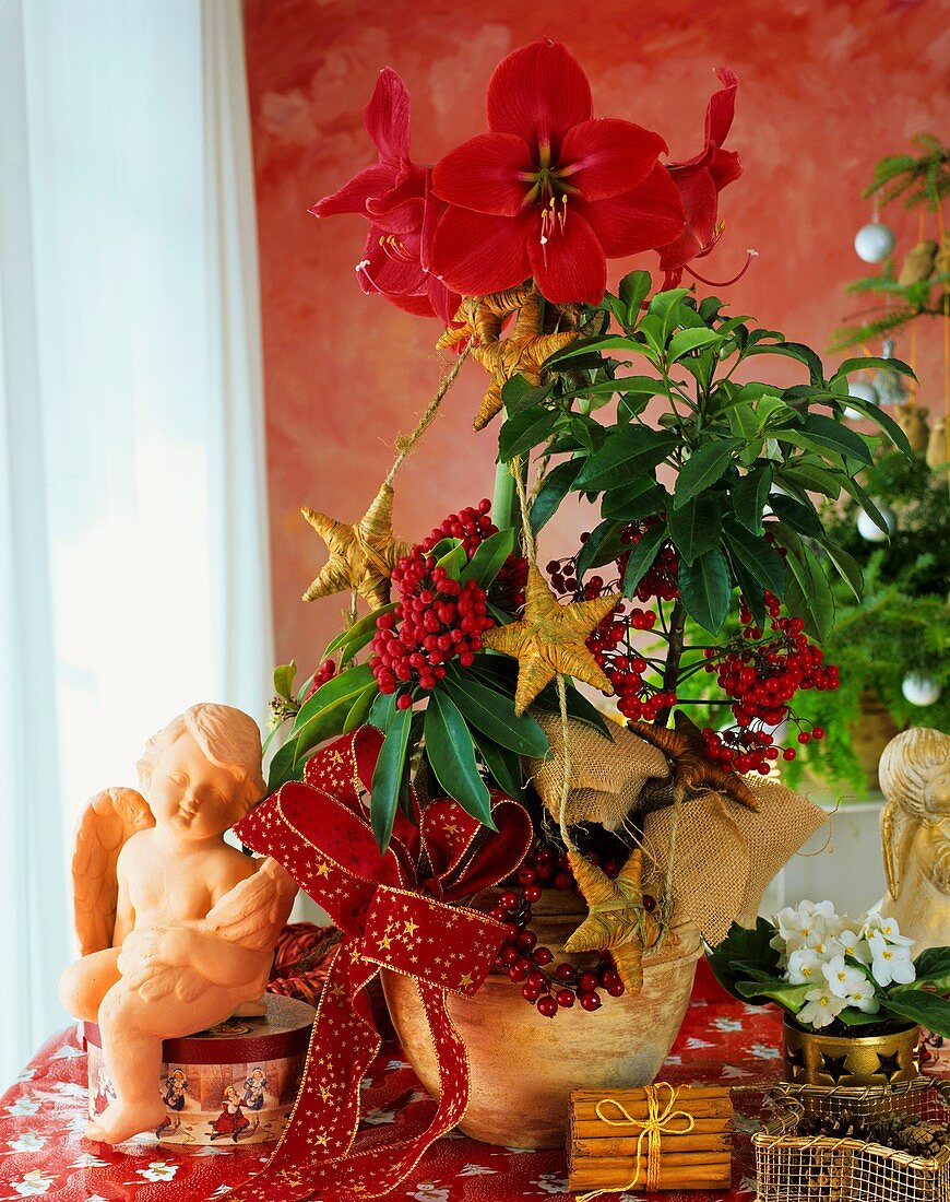 Weihnachtliches Blumengesteck mit Amaryllis und Spitzblume