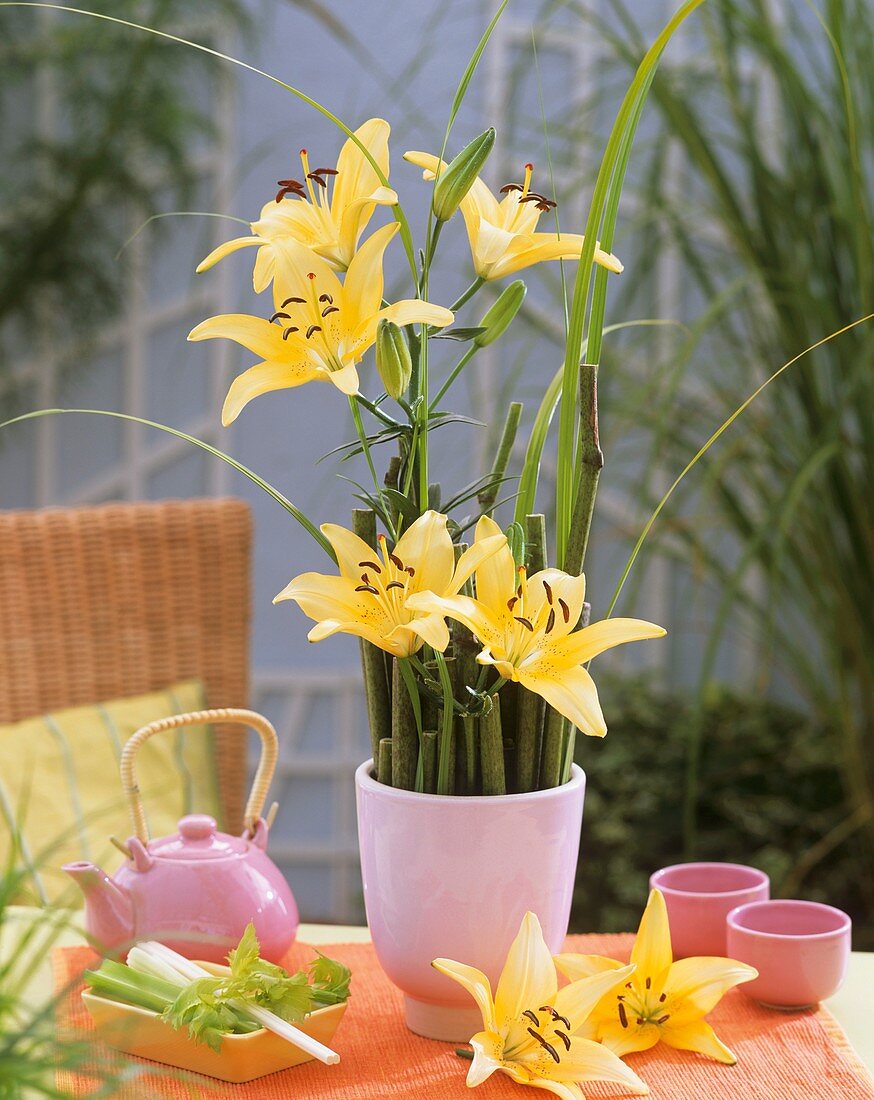 Blumengesteck mit gelben Lilien der Sorte 'Lemon Pixie'