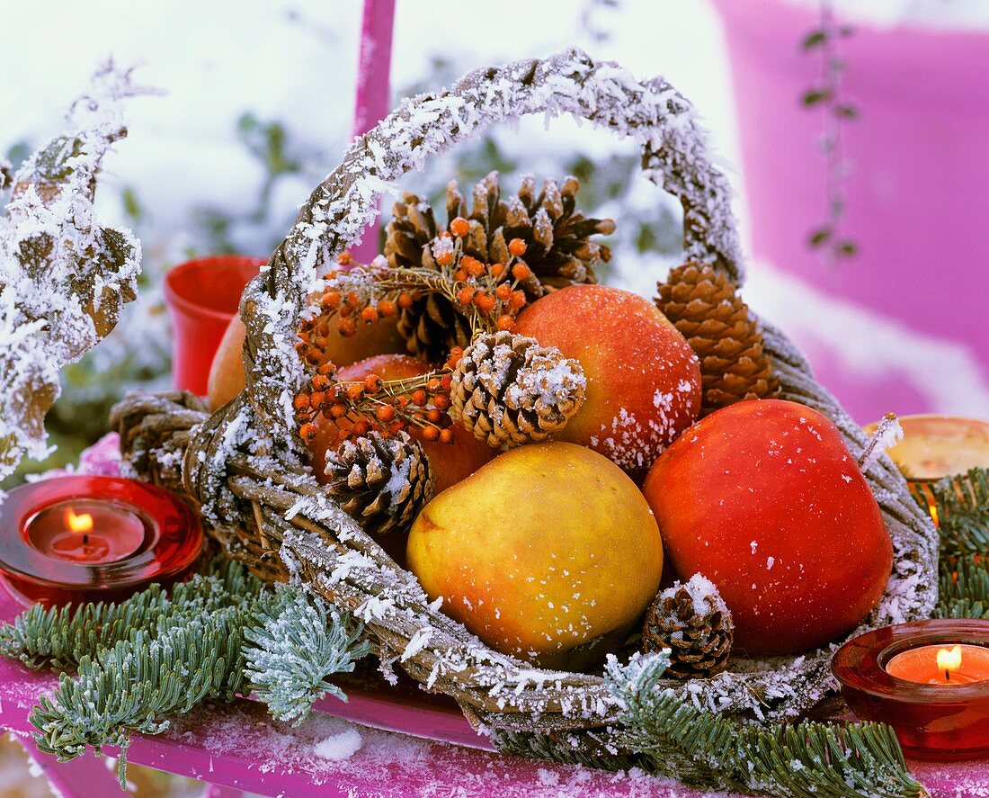 Apples, fir and pine branches in a wicker basket