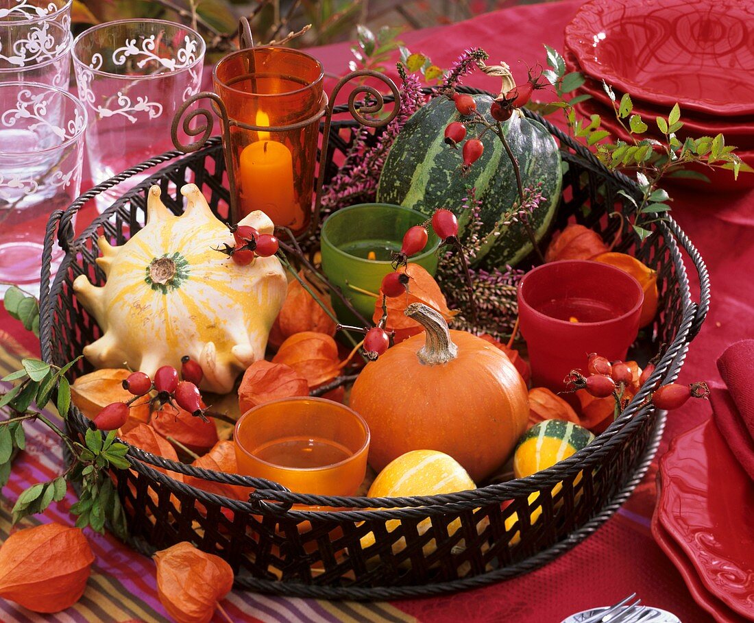 Basket of ornamental gourds, Chinese lanterns, rose hips