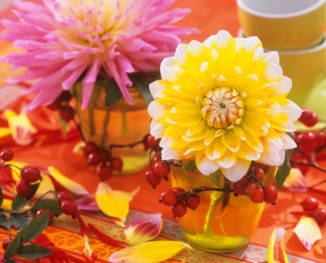 Dahlias in glasses