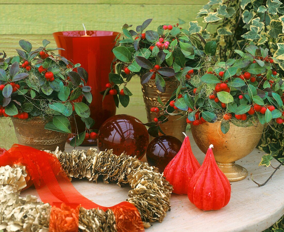 Christmas arrangement with cranberries