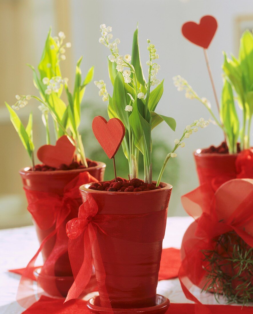 Lilies-of-the-valley in red pots with hearts