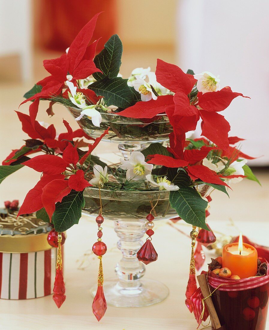 Tiered glass stand with poinsettias and Christmas roses
