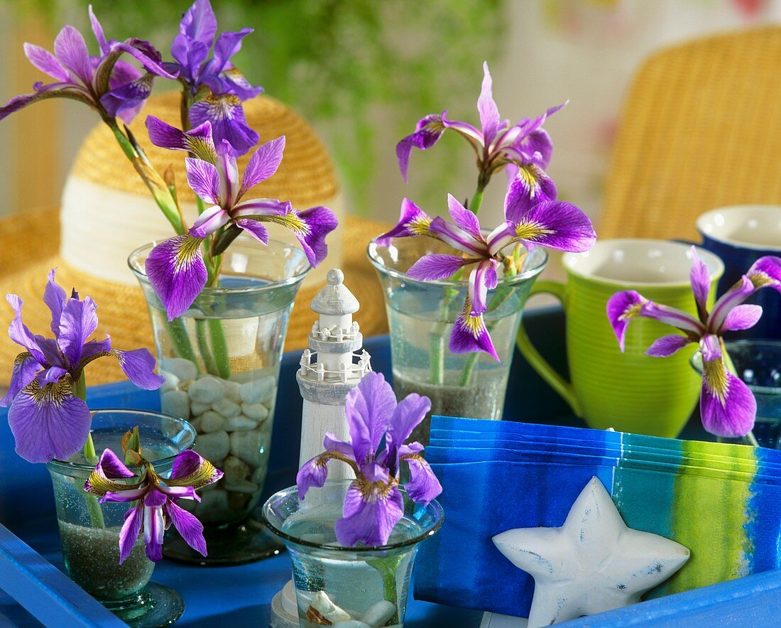 Irises with maritime decorations