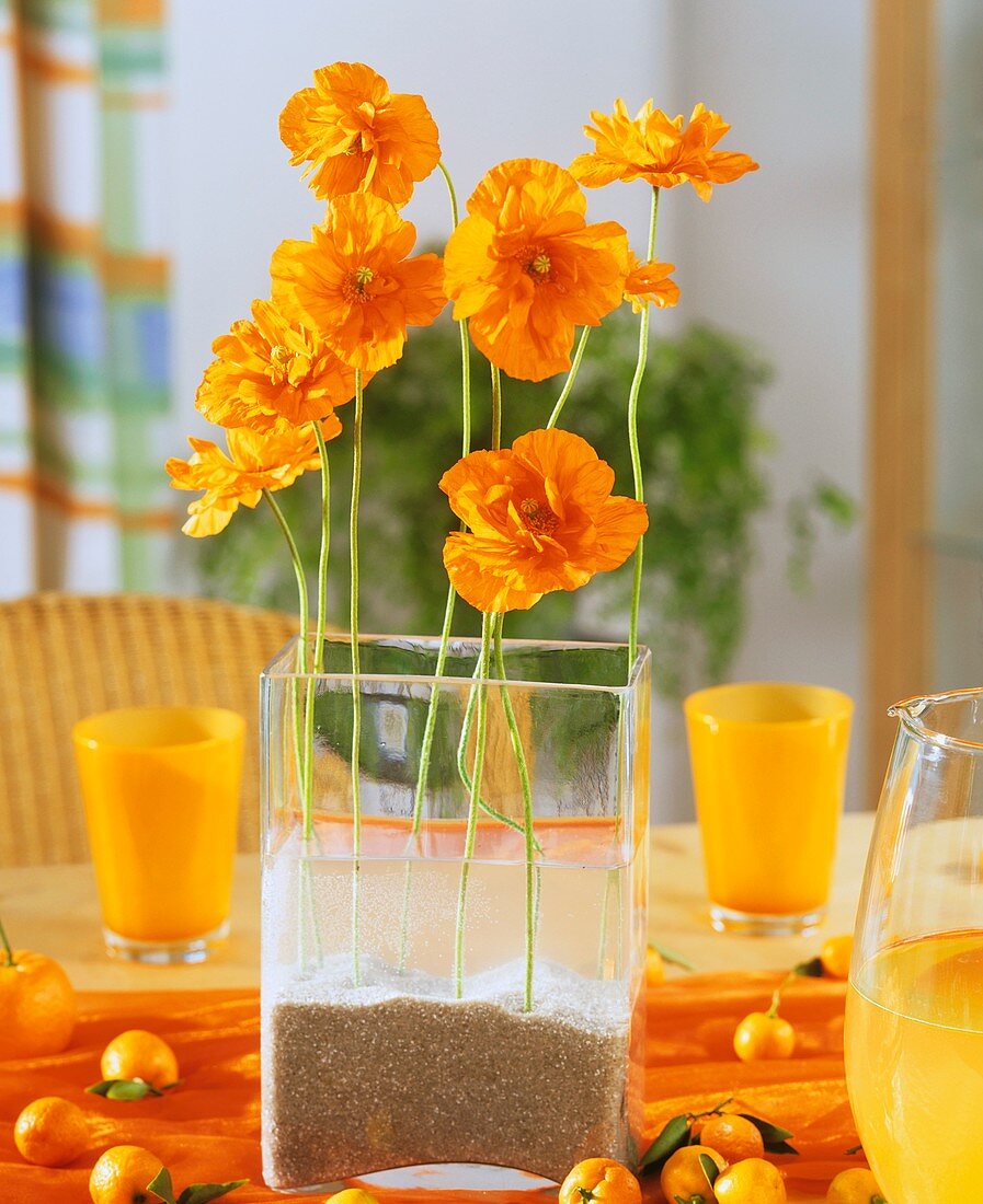 Mohnblumen in einer gläsernen Vase