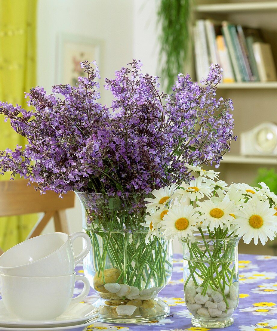 Catmint and marguerites in glass vases