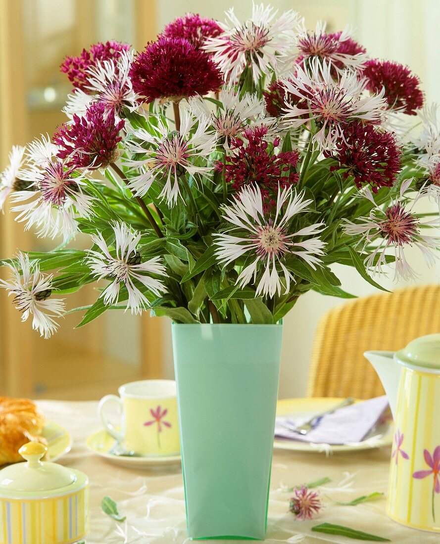 Cornflowers and ornamental onion flowers