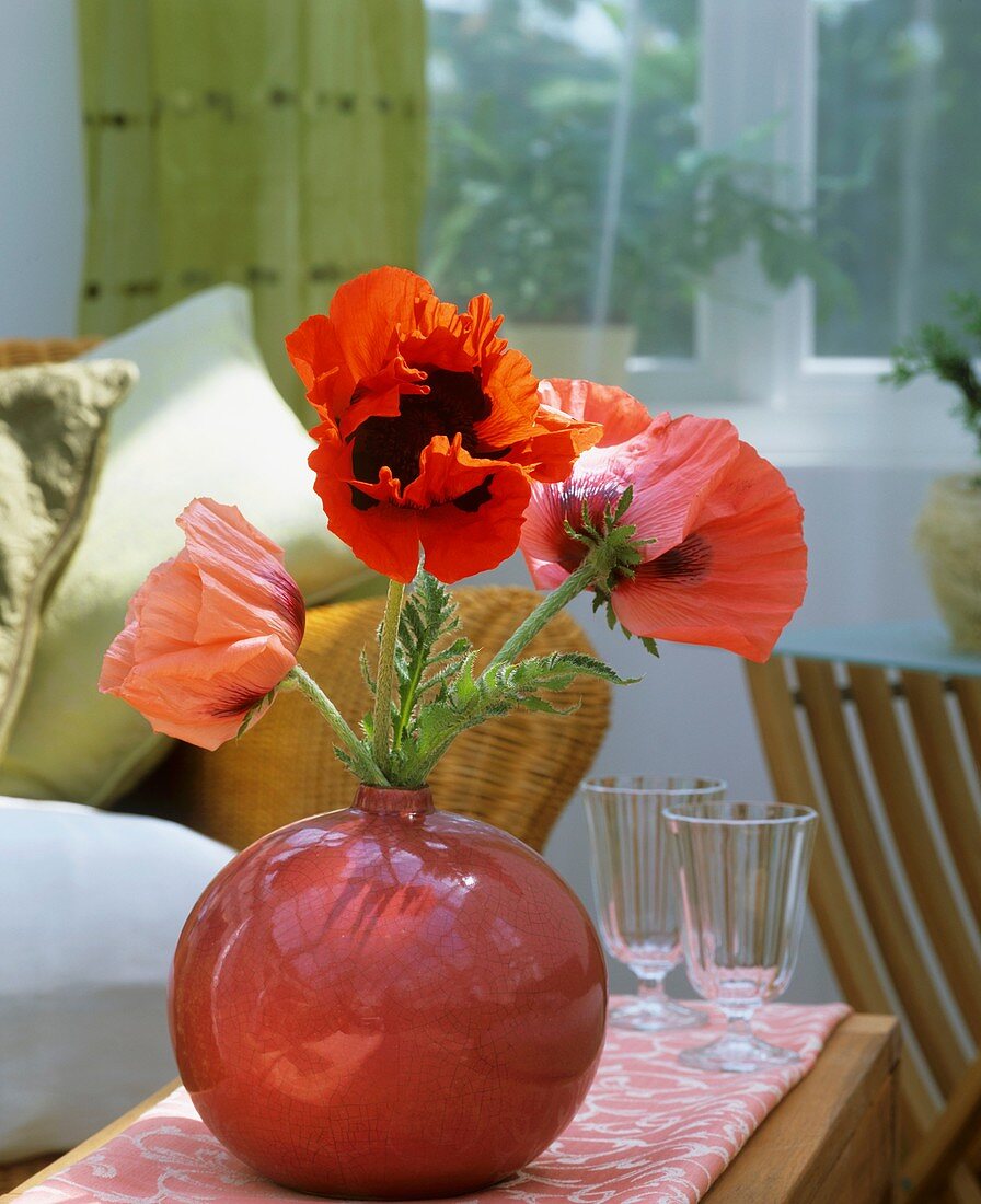 Mohnblumen in einer Vase