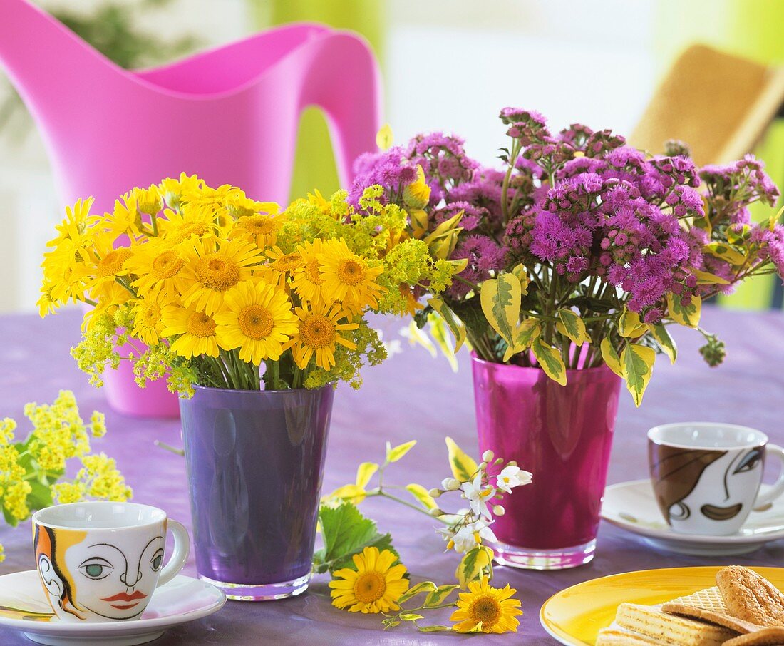 Yellow marguerites and Ageratum on table laid for coffee