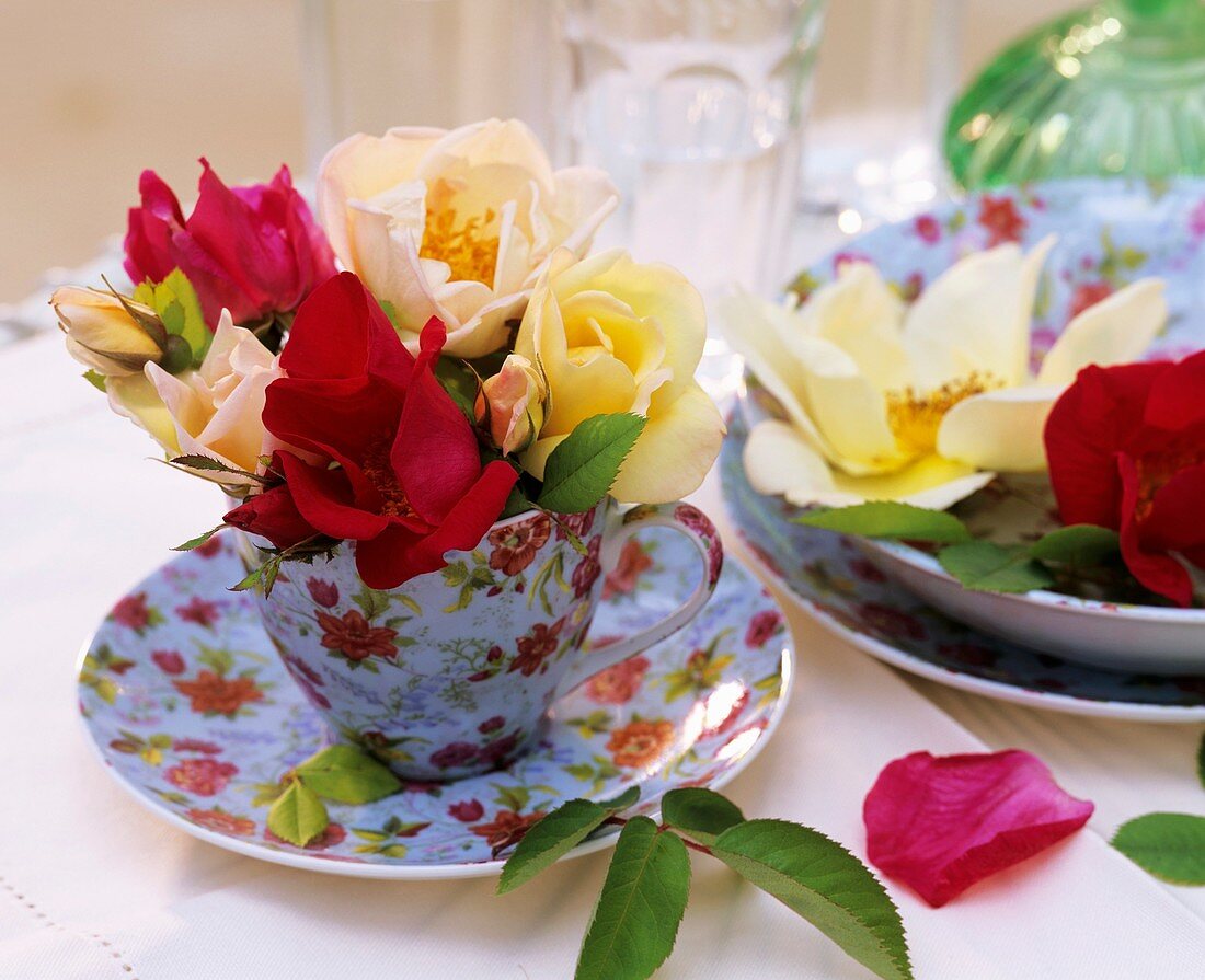 'Frühlingsgold' & 'Scharlachglut' roses in floral crockery