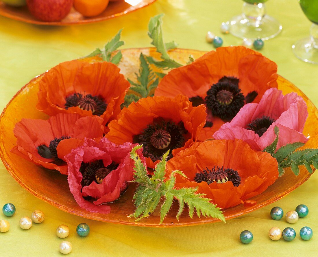 Glass bowl of poppies and poppy leaves