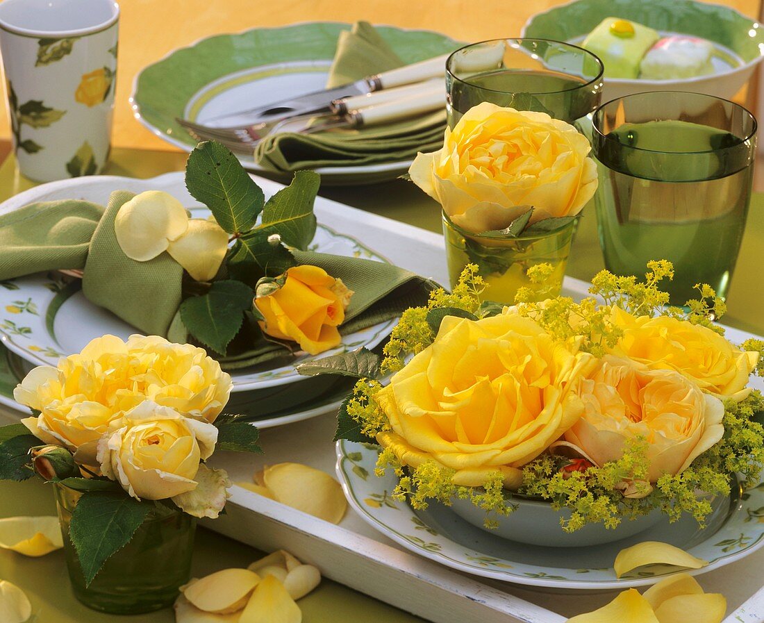 Gelbe Rosen und Frauenmantel auf gemustertem Geschirr
