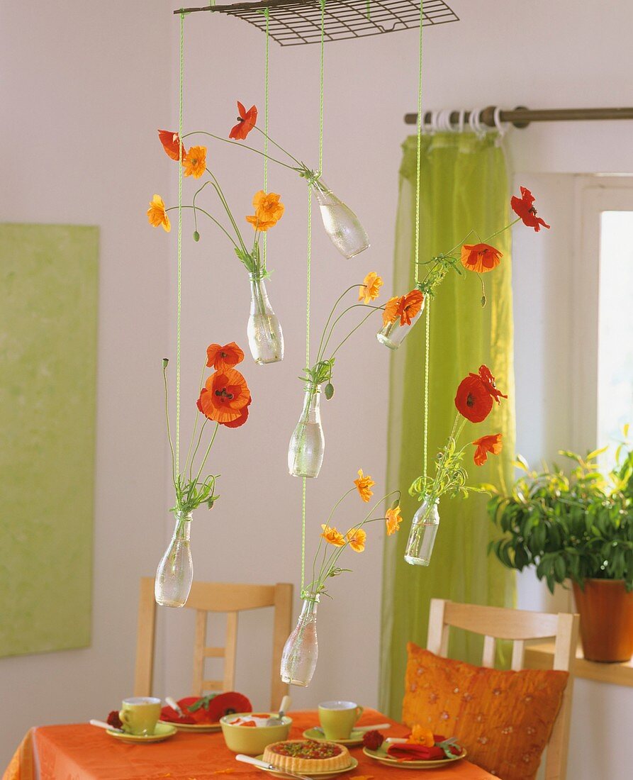 Poppies in small bottles hanging from ceiling