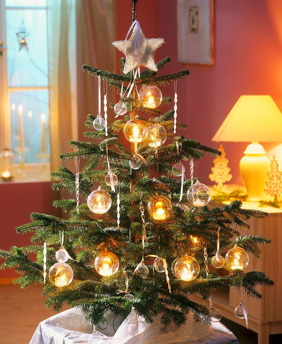 Nordmann fir with white star and glass baubles