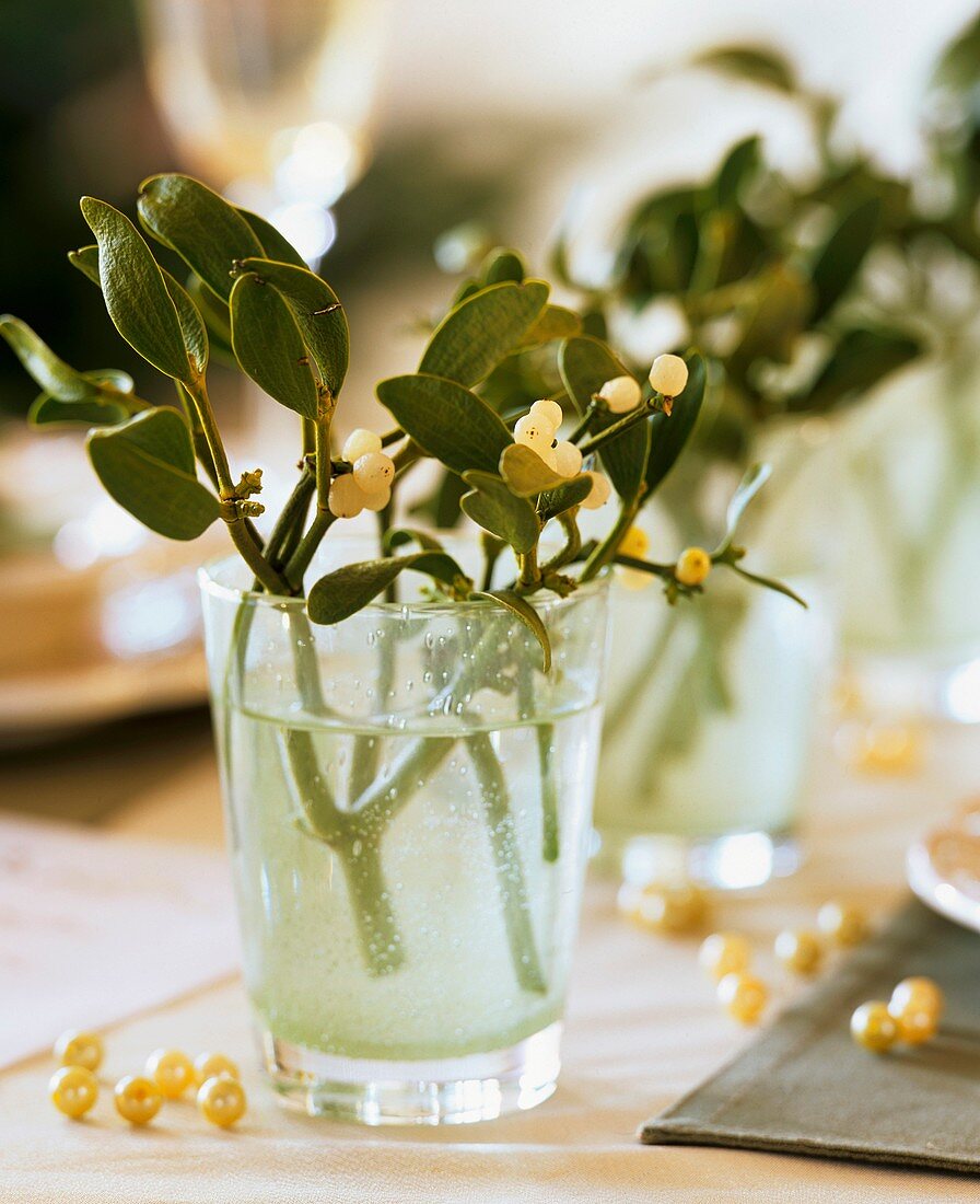 Mistletoe in glass of water with pearls