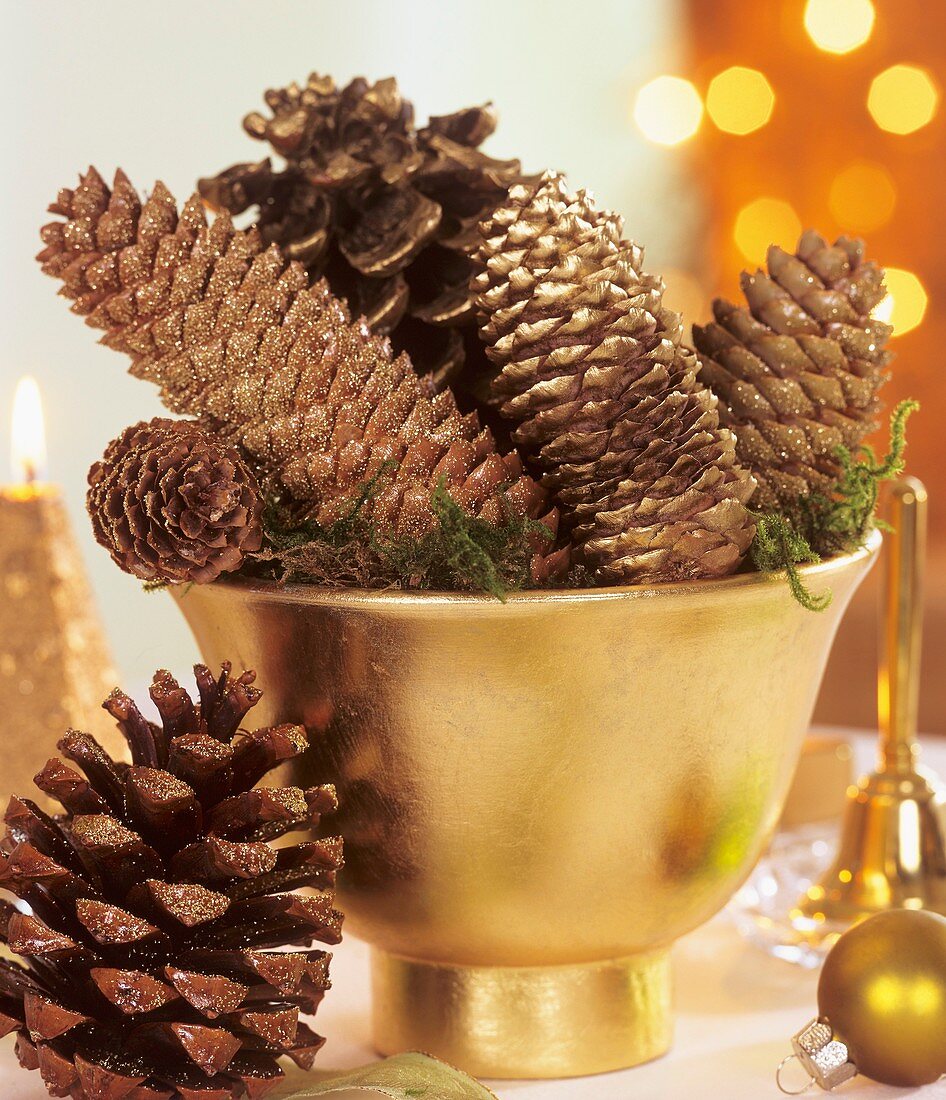 Spruce and pine cones in gold cache-pot