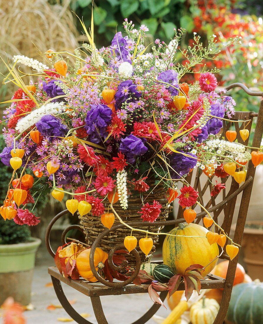 Autumnal arrangement of asters, chrysanthemums, Chinese lanterns, monkshood, ears of oat and bugbane