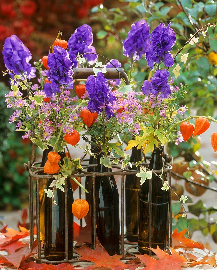 Monkshood, asters, and Chinese lanterns in beer bottles