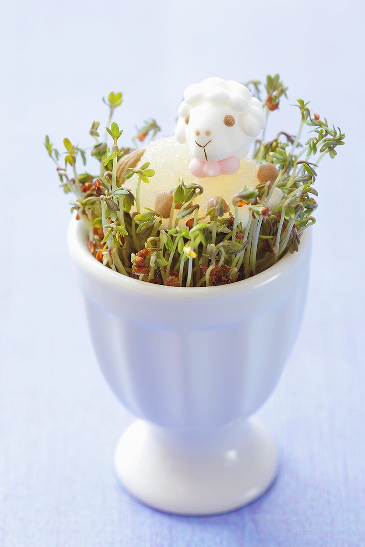 Easter lamb on cress in an egg cup