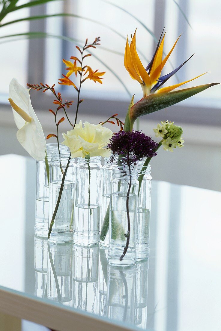 Flowers in small jars