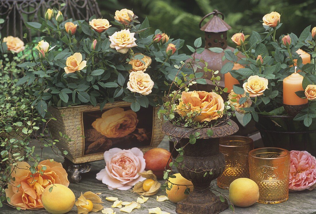 Sommerliche Deko mit Rosen und Früchten